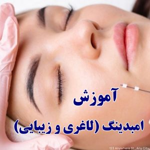 آموزش امبدینگ لاغری و زیبایی (همراه با اعطای مدرک)