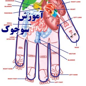 آموزش سوجوک (همراه با اعطای مدرک)